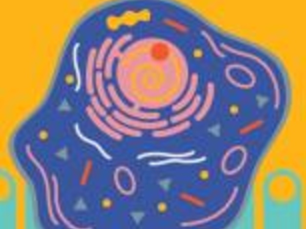 Piezoeletric Nanowires - How to tickle a cell